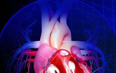 Srčno-žilni sistem